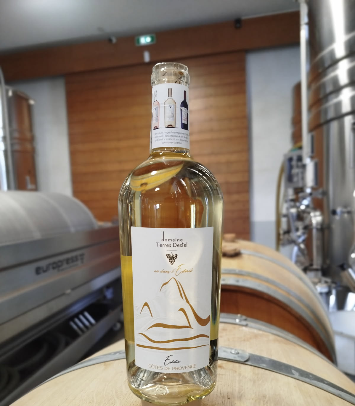 Nos vins Rosé et blanc son disponibles